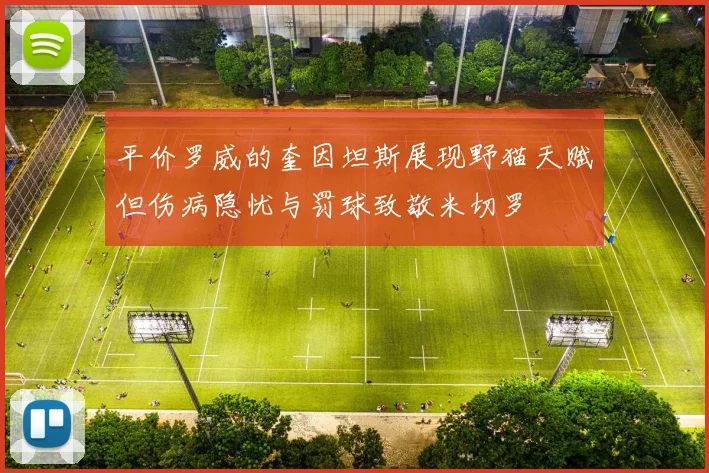 平价罗威的奎因坦斯展现野猫天赋但伤病隐忧与罚球致敬米切罗